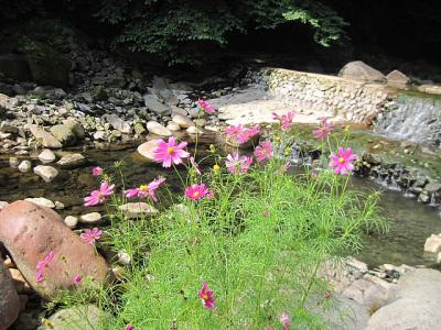 群馬・長野･山梨　１泊２日の旅。。。その１「尻焼温泉」