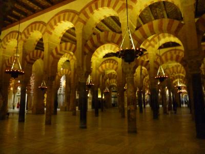 情熱の国!!スペイン旅行~異文化融合の不思議な街コルドバ~