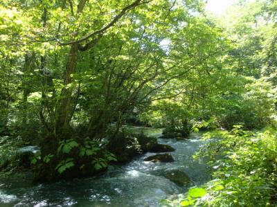 北東北の旅　③奥入瀬渓流