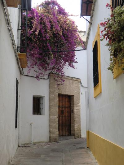 アンダルシア紀行 Vol.04~AVEでコルドバへ。ぶらり散策