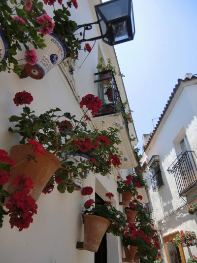 アンダルシア紀行 Vol.06~花の小道