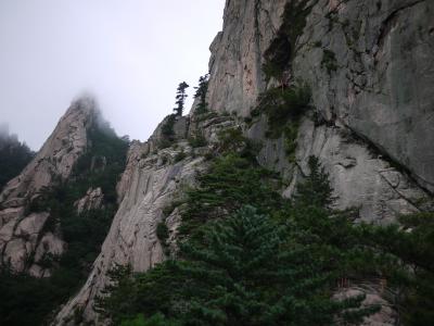 束草旅行　雪岳山（ソラクサン）と海と刺身