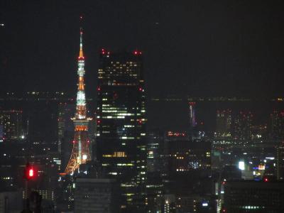 国立劇場で文楽を見た後、新宿都庁から夜景を見よう！（後日の夜公演の時のおまけ写真追加）