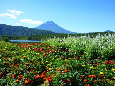 24時間リレーマラソン