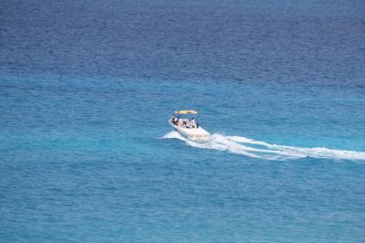 【ダイビング・コスメル編】初めてのカリブ海♪２００匹のジンベェとカリビアンブルーの海に出会う旅