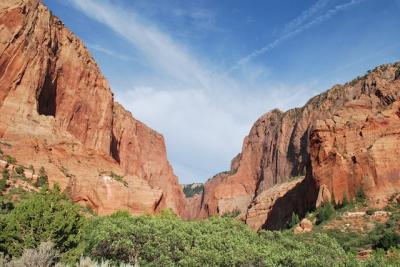 Zion National Park (Kolob Section)（2010年夏の旅行記）