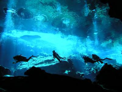 【☆ダイビング☆セノーテ編】初めてのカリブ海♪２００匹のジンベェとカリビアンブルーの海に出会う旅