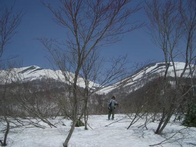 月山春スキー