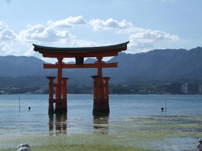 サンライズ瀬戸、乗車！！⑪　～厳島神社の帰り道編～