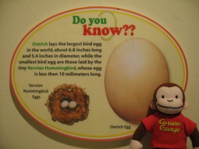 ３度目の馬來西亞−KL編