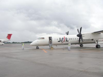 屋久島 ~縄文杉に会いに~ 1日目