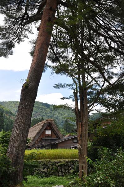 「　白川郷合掌造り集落　～　飛騨・高山　」