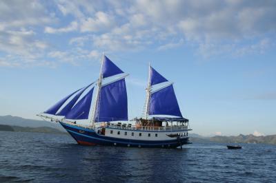 《 コモド島 》 ダイビング①