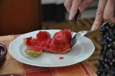 SICILYで(シシリー)でサボテン(FICO D’INDIA)を食らう・・・