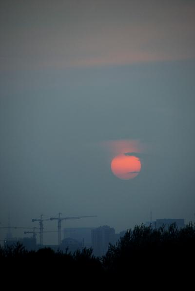 アパート解約～紅橋市場で夕日のリベンジ！