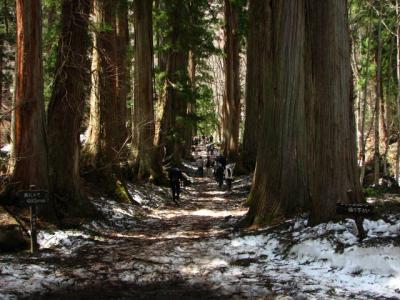長野へドライブ♪ ~戸隠神社~