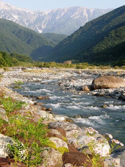 信州　白馬温泉　３連泊の旅・・・④早朝散歩と善光寺