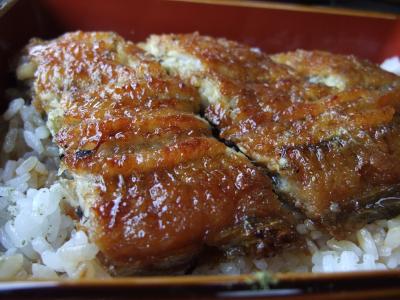 蒲焼きを食べるだけ 『うなぎ淡水』 in福井県