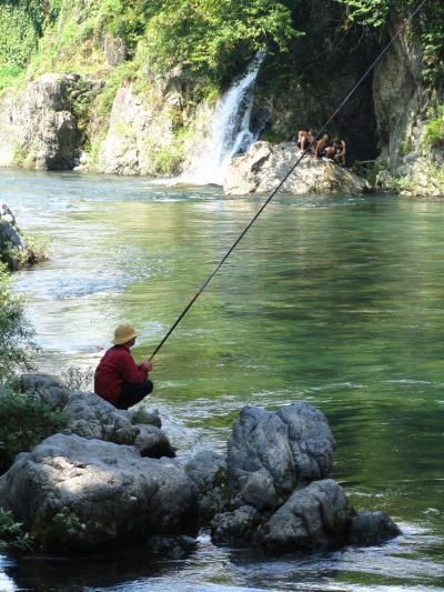 岐阜 / 郡上八幡　清流の流れる山あいの美しい街の伝統的なお祭りを満喫