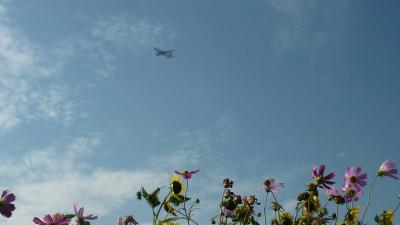千葉旅行記 成田空港滑走路そばで初秋を