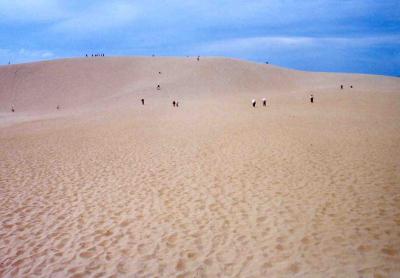 鳥取砂丘に行ってきました。