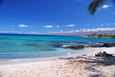 ハワイ島で、パワーチャージ♪　その⑤ホテルのビーチでウミガメさん