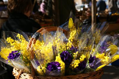 コートダジュール★ニースの花と香りの癒し旅　①　トゥーレット・シュル・ルー編