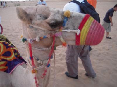 夏休み！ドバイ旅行記 （前半）