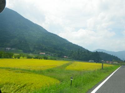 広島の田舎カフェに行ってきました　～森のカフェ＆レストランDude～