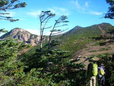 またまた八ヶ岳