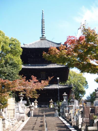 京都金戒光明寺－2008年秋