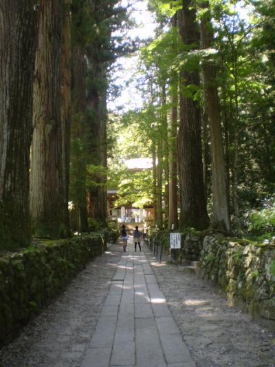 南信州秋の五大味覚収穫祭