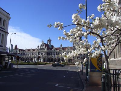 2009夏 ニュージーランド周遊記【ダニーデン編】