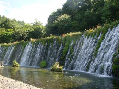 涼を求めて・・・山中湖「花の都公園」