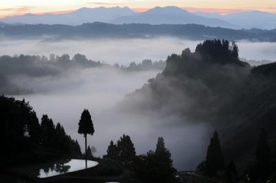 新潟　山古志　棚田