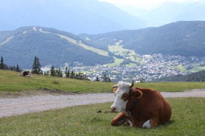 オーストリアの山を求めて一人旅Part4 (奇跡の晴れ間、ゼーフェルト)