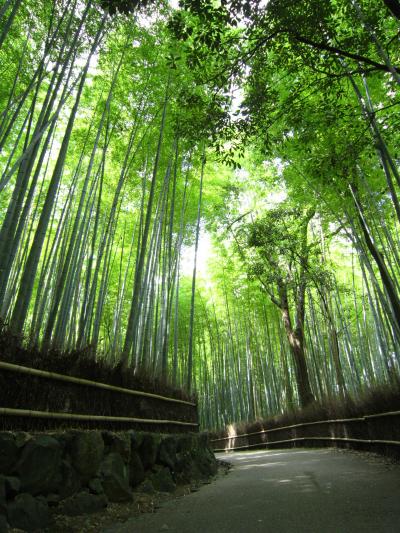 京都旅行 with friend from NY