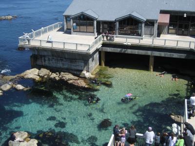 美國行之４：Monterey Bay Aquarium