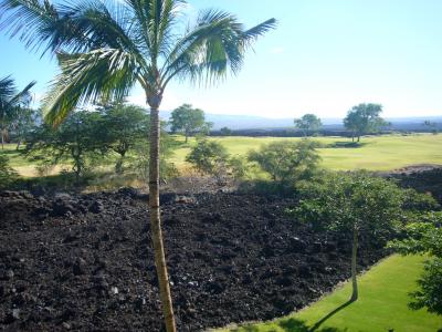 2010 Summer Big Island & Honolulu （ハワイ島）