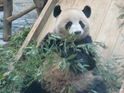 関西５日間動物旅行⑥