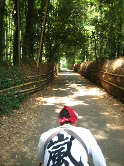 今年の京都は暑かった！②～嵐山～