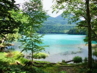北海道東 神秘の湖めぐり～オンネトー・阿寒湖