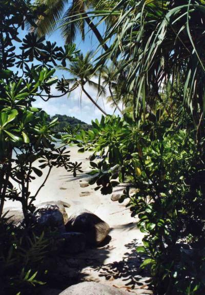 シンガポールに行ってきました。