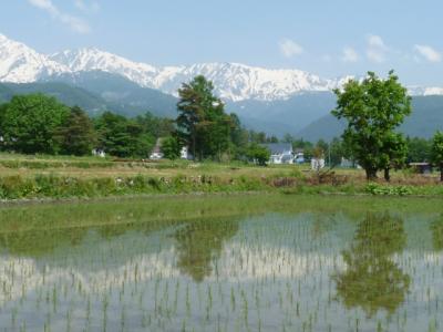 安曇野や白馬へスケッチ旅行のお供（3）