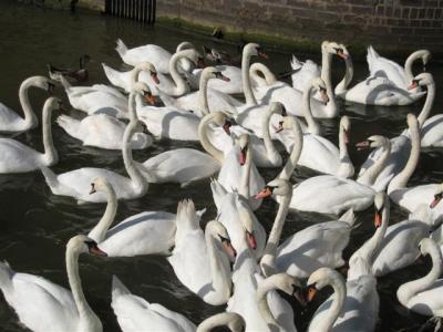 ストラットフォード・アポン・エイボンへ