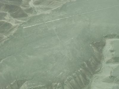 ペルー世界遺産紀行②（ナスカの地上絵編）