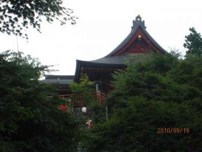 御岳山の黄蓮華ショウマ（３）御岳神社。 