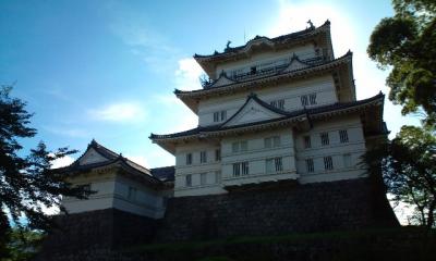 久々に関東旅行　小田原城と御幸の浜海岸編　２０１０年７月