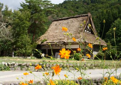 北陸への旅　３日間　（東尋坊・金沢・五箇山・白川郷）