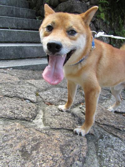 一泊二日、温泉三昧①(中山道~下呂温泉)